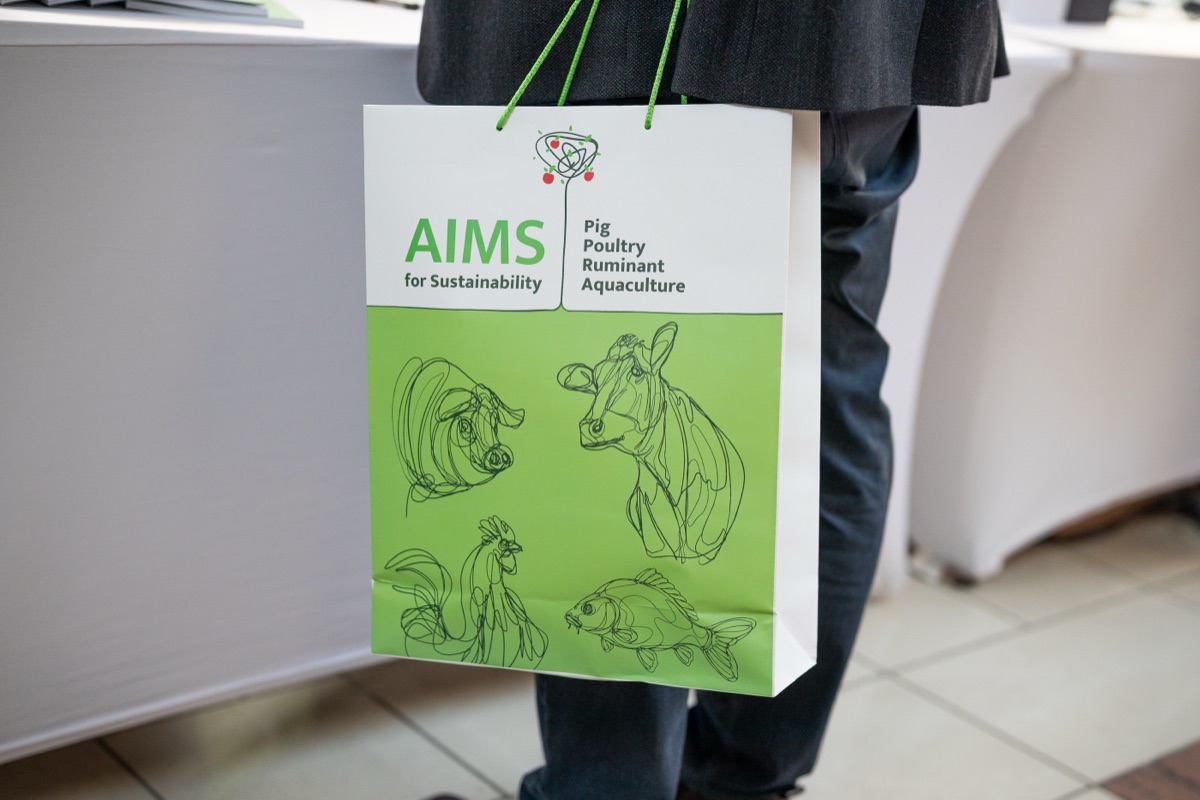 AIMS 2026 – 4