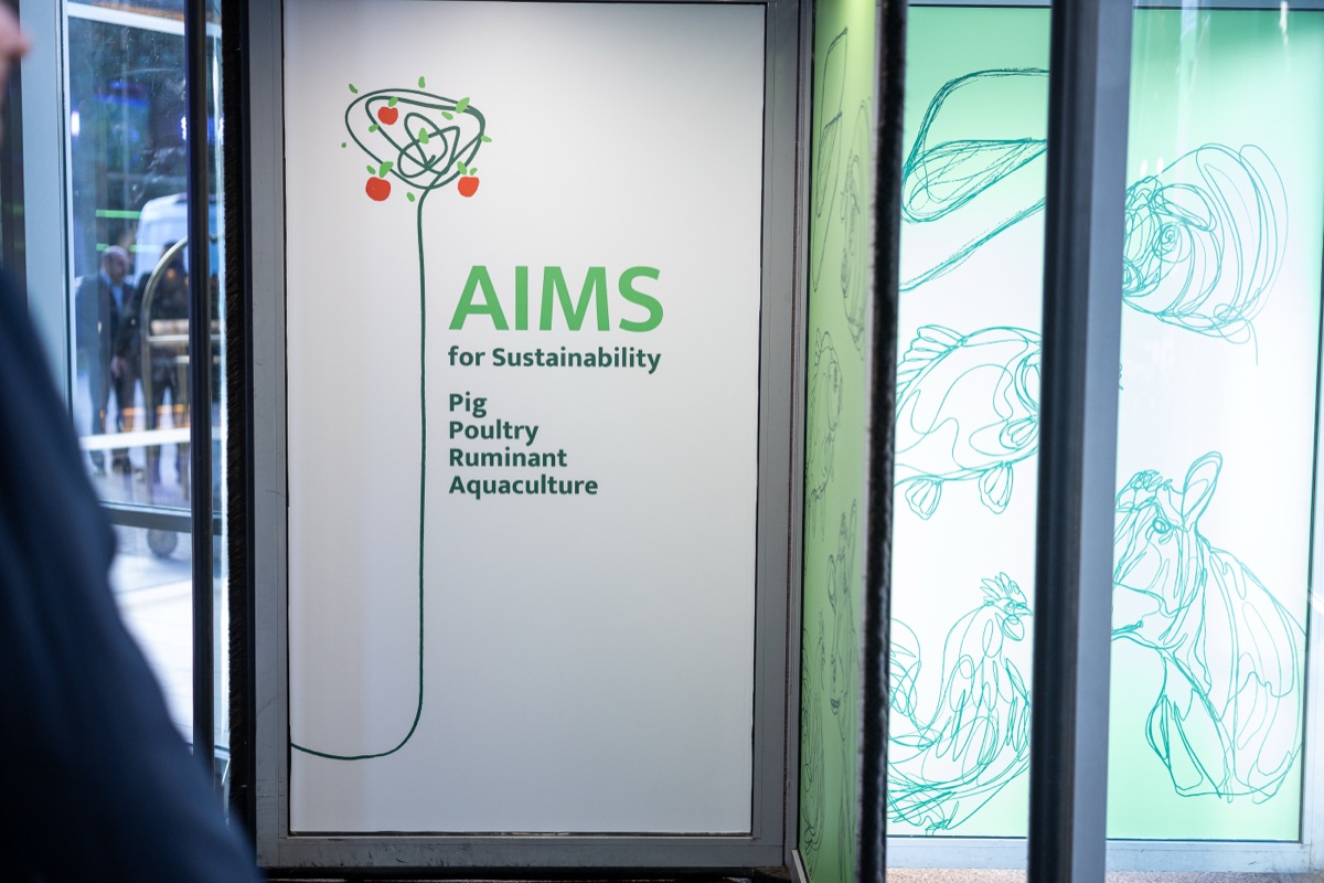 AIMS 2026 – 13