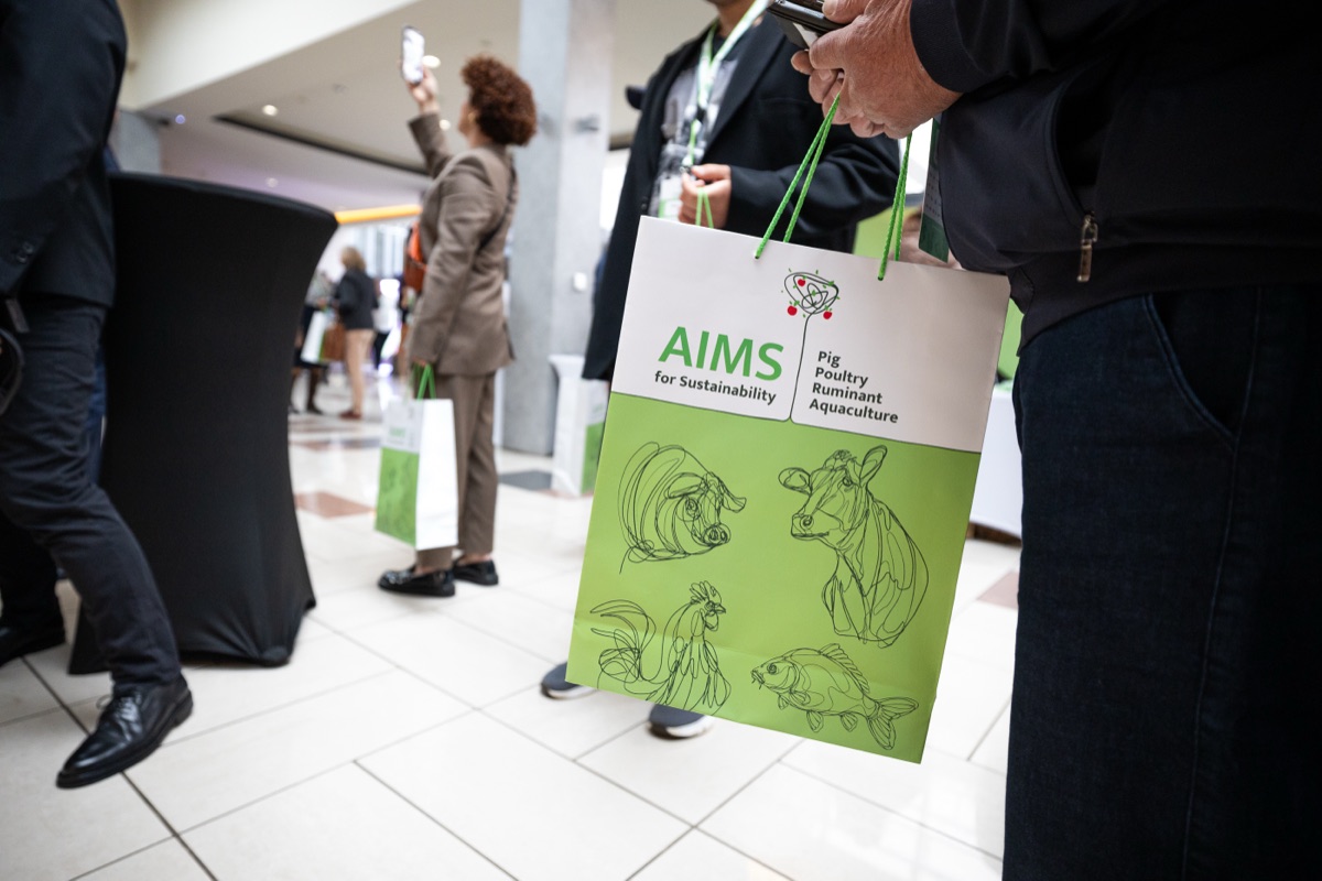 AIMS 2026 – 31
