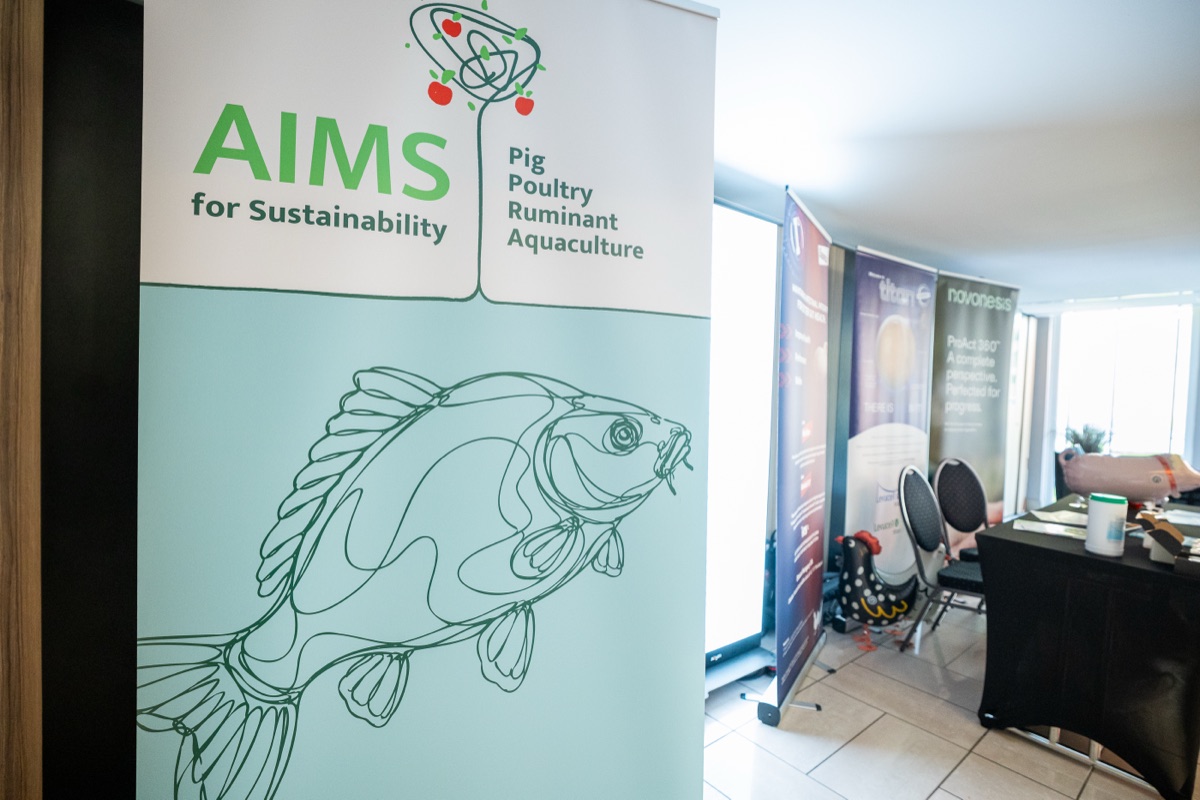 AIMS 2026 – 140