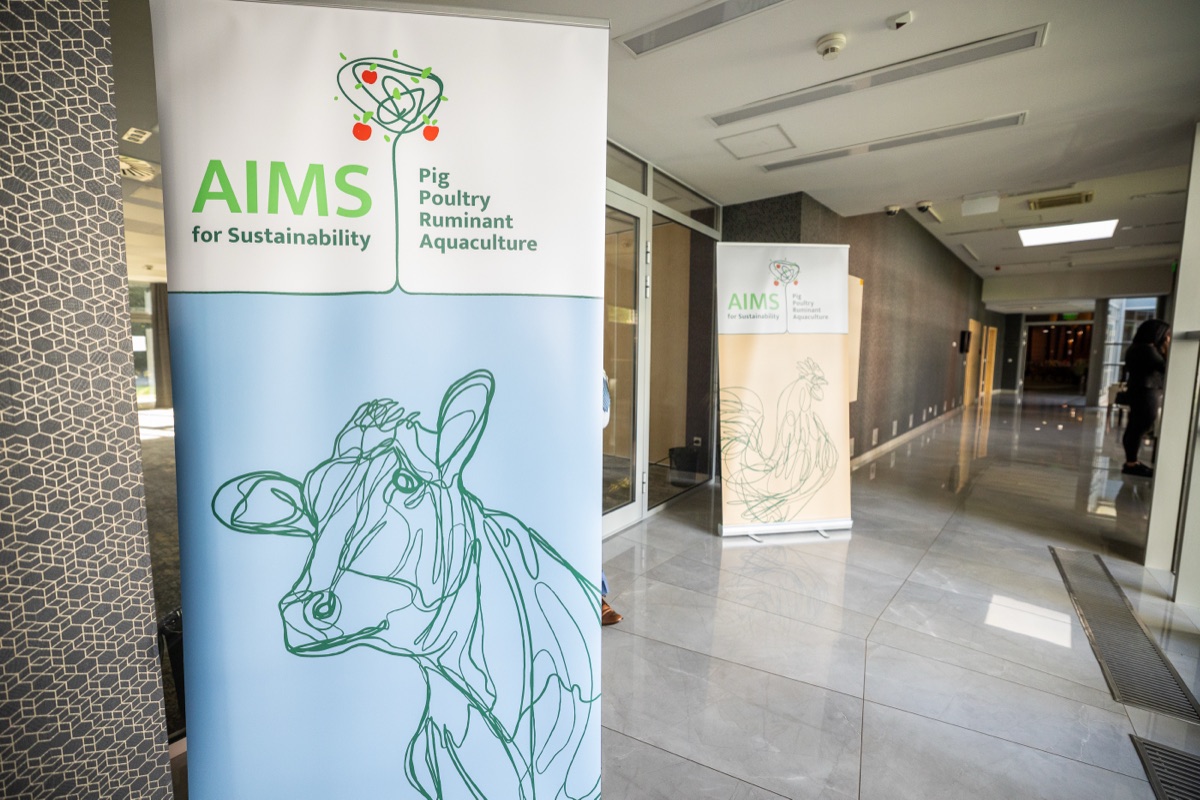 AIMS 2026 – 141
