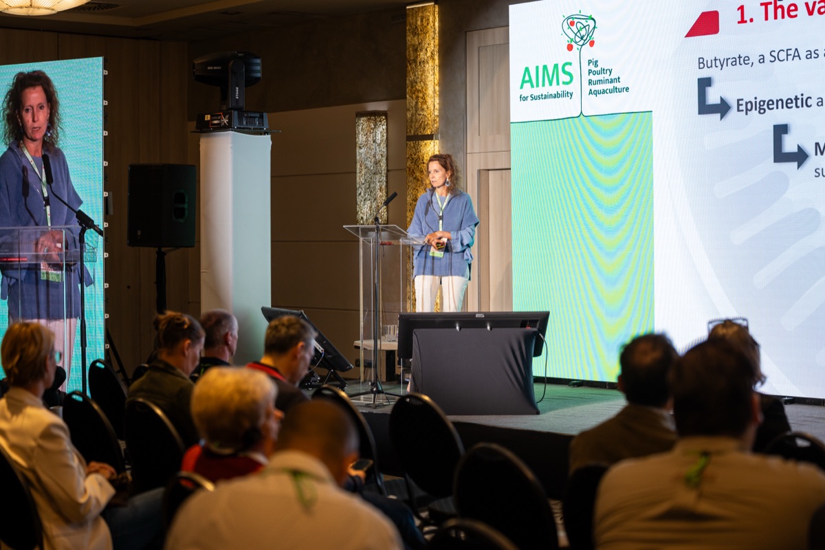 AIMS 2026 – 250